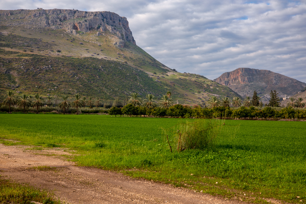 Mt. Arbel